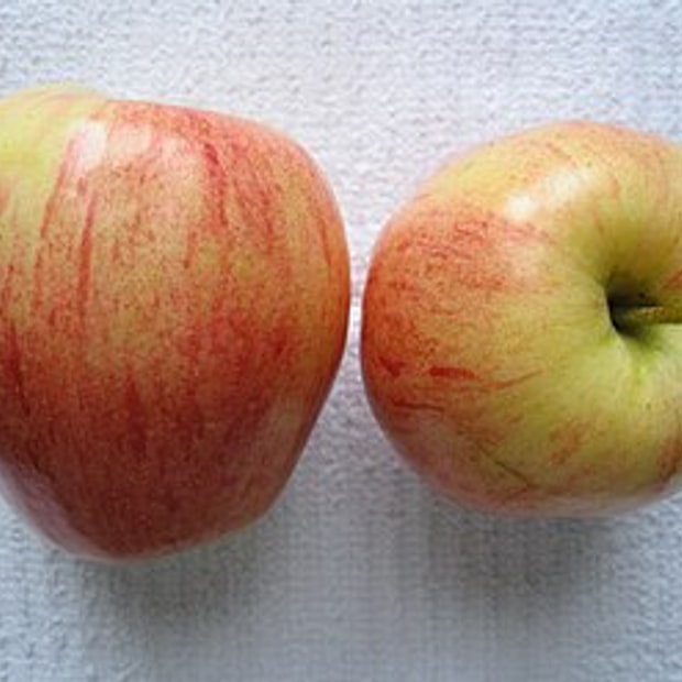 Royal Gala Apple