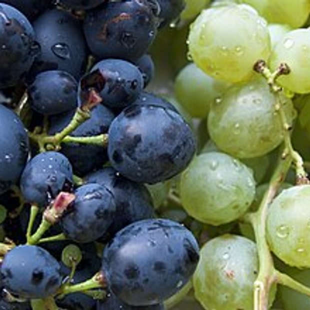 Nashik Green Grapes