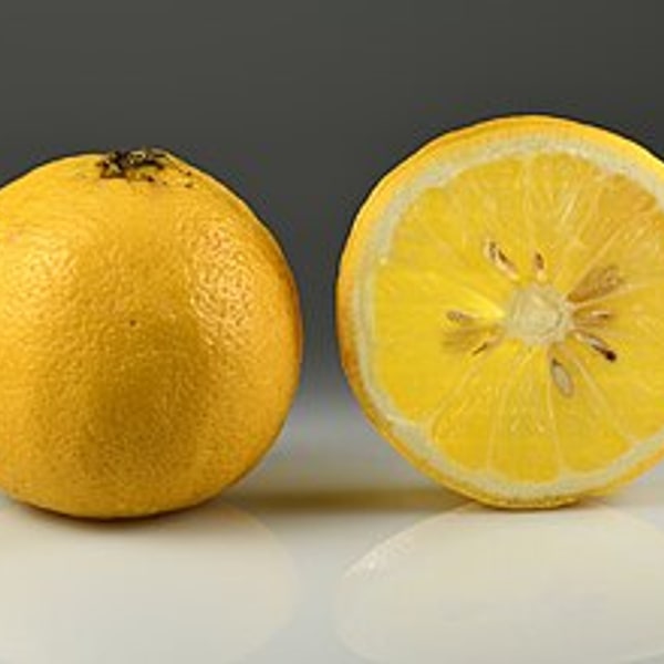 Bergamot Orange