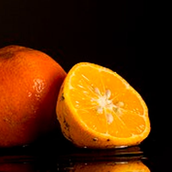 Rangpur Lime