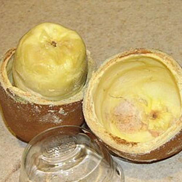 Cupuacu