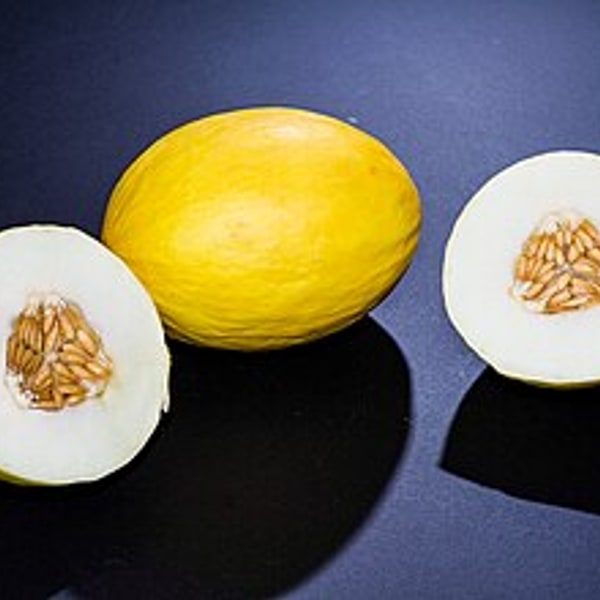 Canary Melon