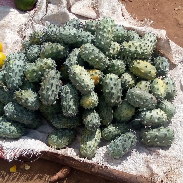 Horned Melon