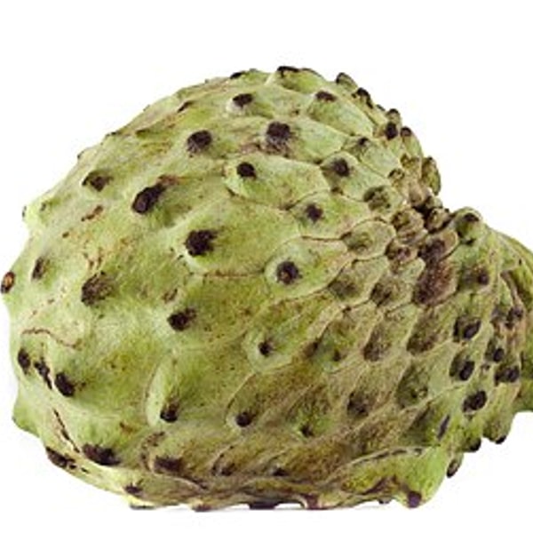 Atemoya