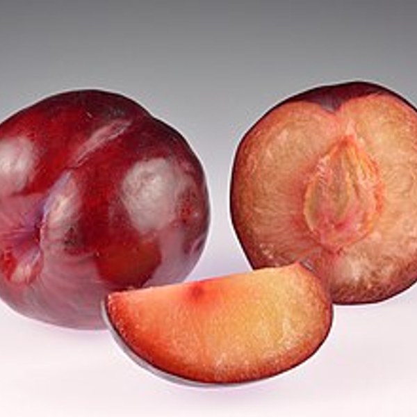 Himachal Plum