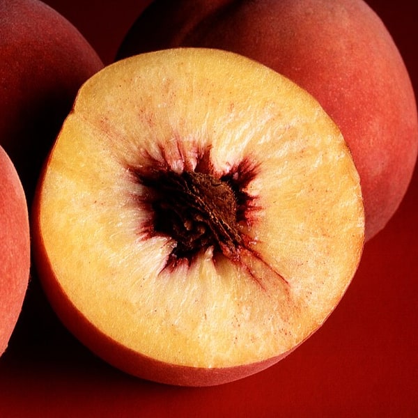 Wild Peach