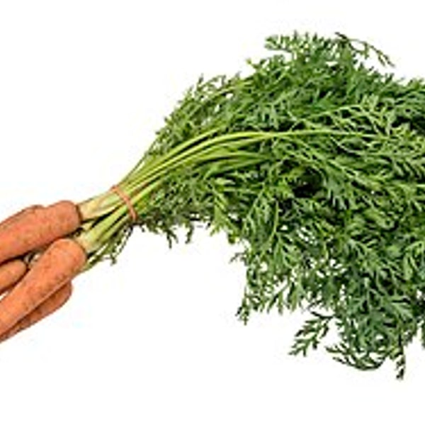 Carrot