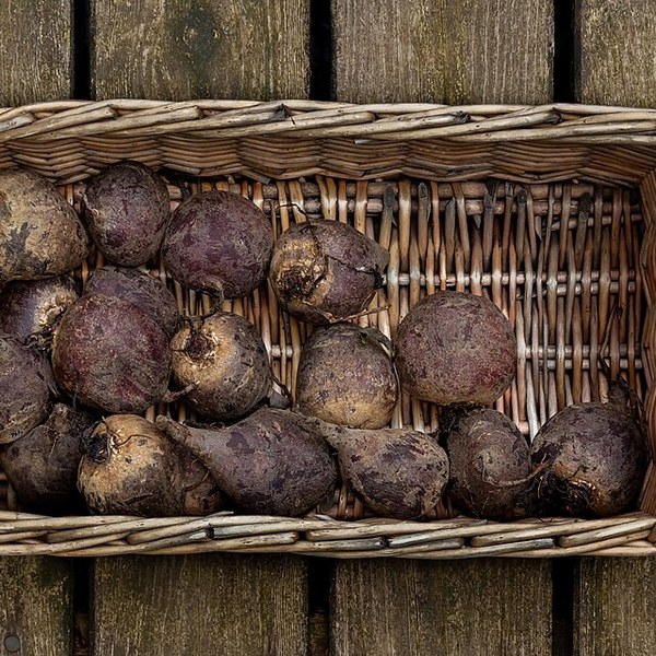Beetroot
