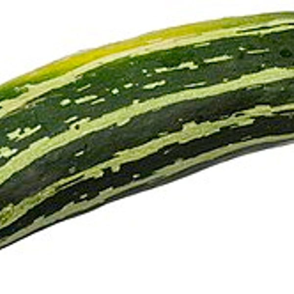 Zucchini