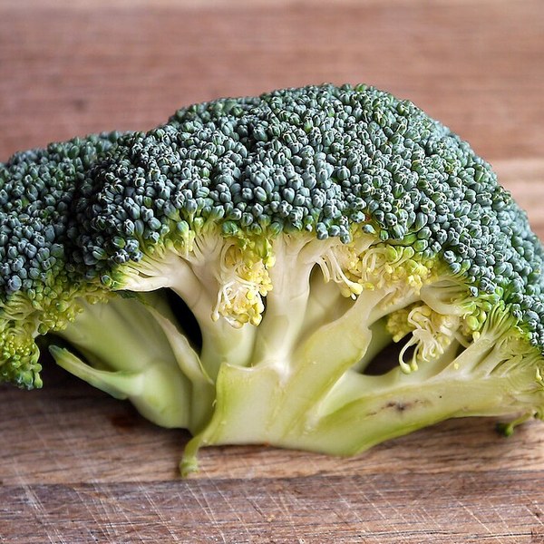Broccoli