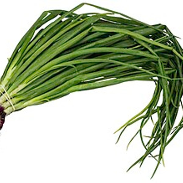 Spring Onion