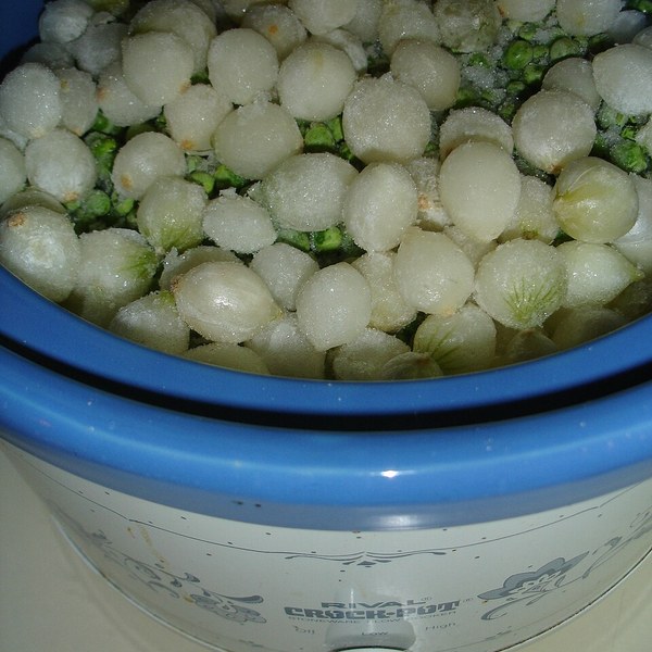 Pearl Onion