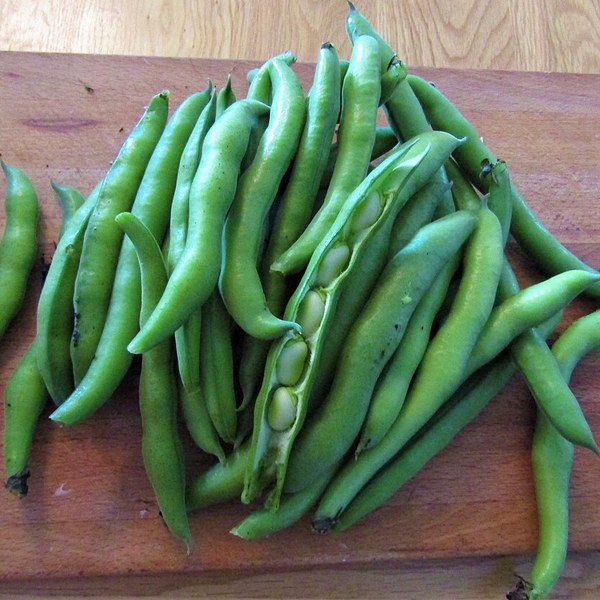 Broad Beans